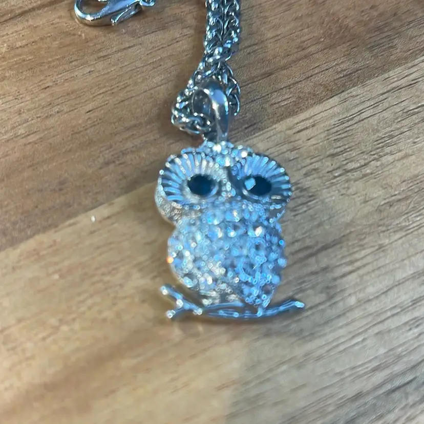 Owl Pendant With Clear Rhinestone And Black Rhinestones Eyes With 26” Silver Color Necklace