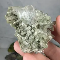 Chlorite + Qtz 21 - Pakistan