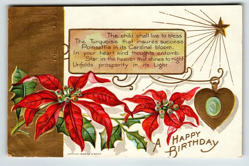 Birthday Flowers Gemstone Postcard December Turquoise Poinsettia Nash 1908  Gem