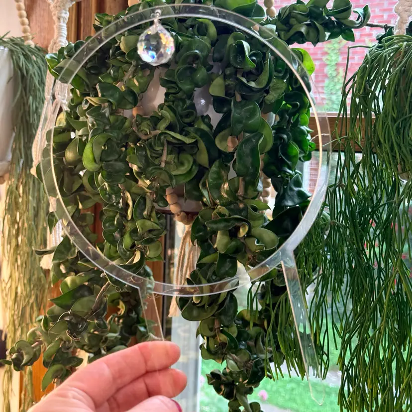 Round Clear Acrylic Trellis - 3.5” spacing