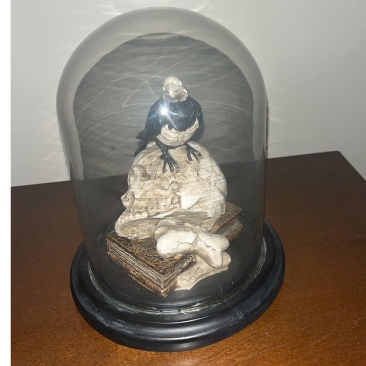 Pier One Halloween Cloche