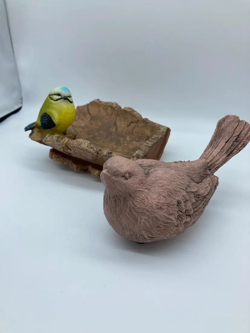 Pair of Mismatched Birds