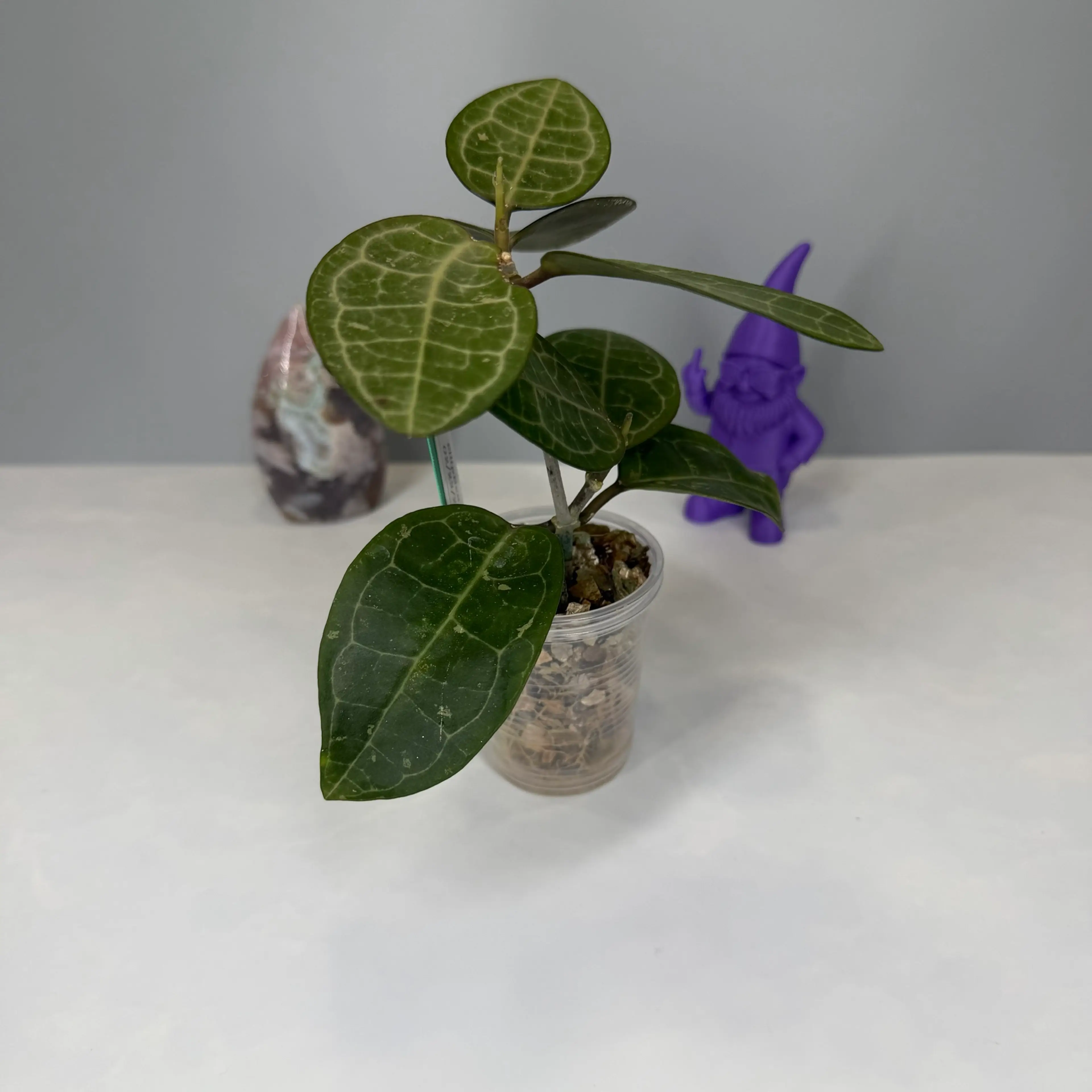 Image 3 of 3