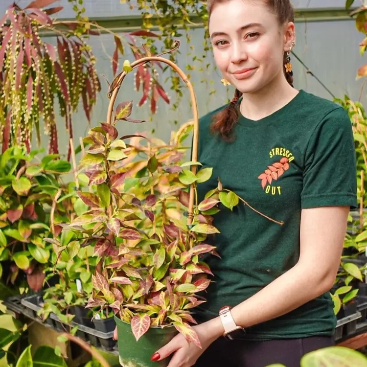 UPT Stressed Out Shirt