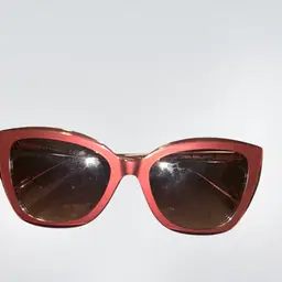 LongChamp Sunglasses NWOT