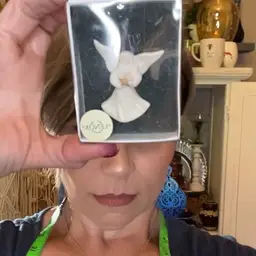 #01 - Lenox Embellished Brooch