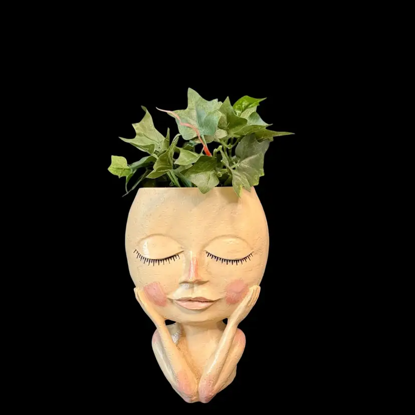 Resin Head Girl/Lady Face Planter/Flowerpot With Drainage Hole Indoor Outdoor Decor Modern
8” T x 5” L x 3-1/4” W
