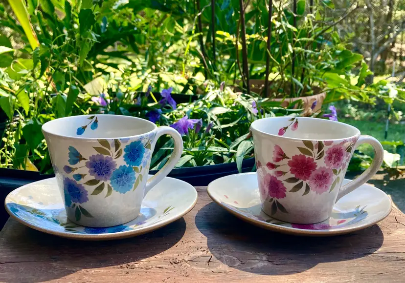 Tea Cups W Oval Saucers Floral Rustic Vintage Pink/Blue Set Of 2 Japanese