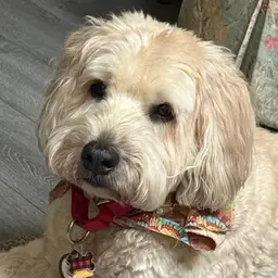 #07 - $6 SB Choice Jewelry