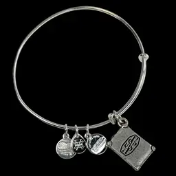 2018 ALEX & ANI Charm Bangle Bracelet. Adjustable. Silver-tone with Charm of Newt Scamander's Magic Case from Fantastic Beasts and Where to Find Them movie.