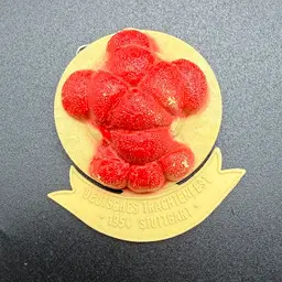 Vintage German Pin 1954 Deutsches Trachtenfest Stuttgart Germany Festival Tracht