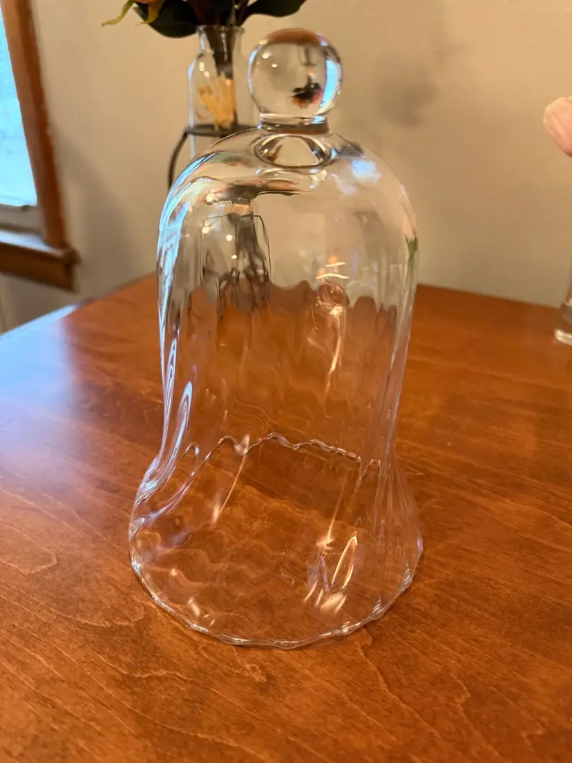 ☀️8” H x 5-1/4” W Glass Cloche