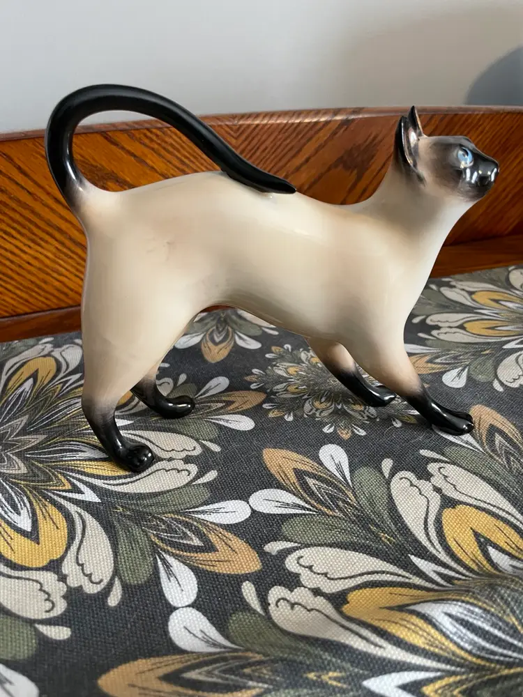 Siamese Cat