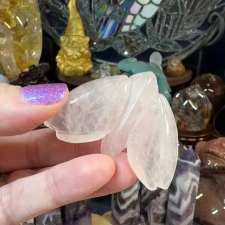 Rose Quartz Moth
