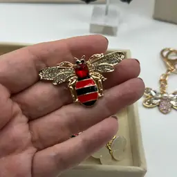 Beetle 🪲 Brooch- Red & Black