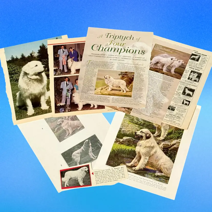 Junk Journal C Lot/8 Pieces Great Pyrenees Dog Vintage Ephemera