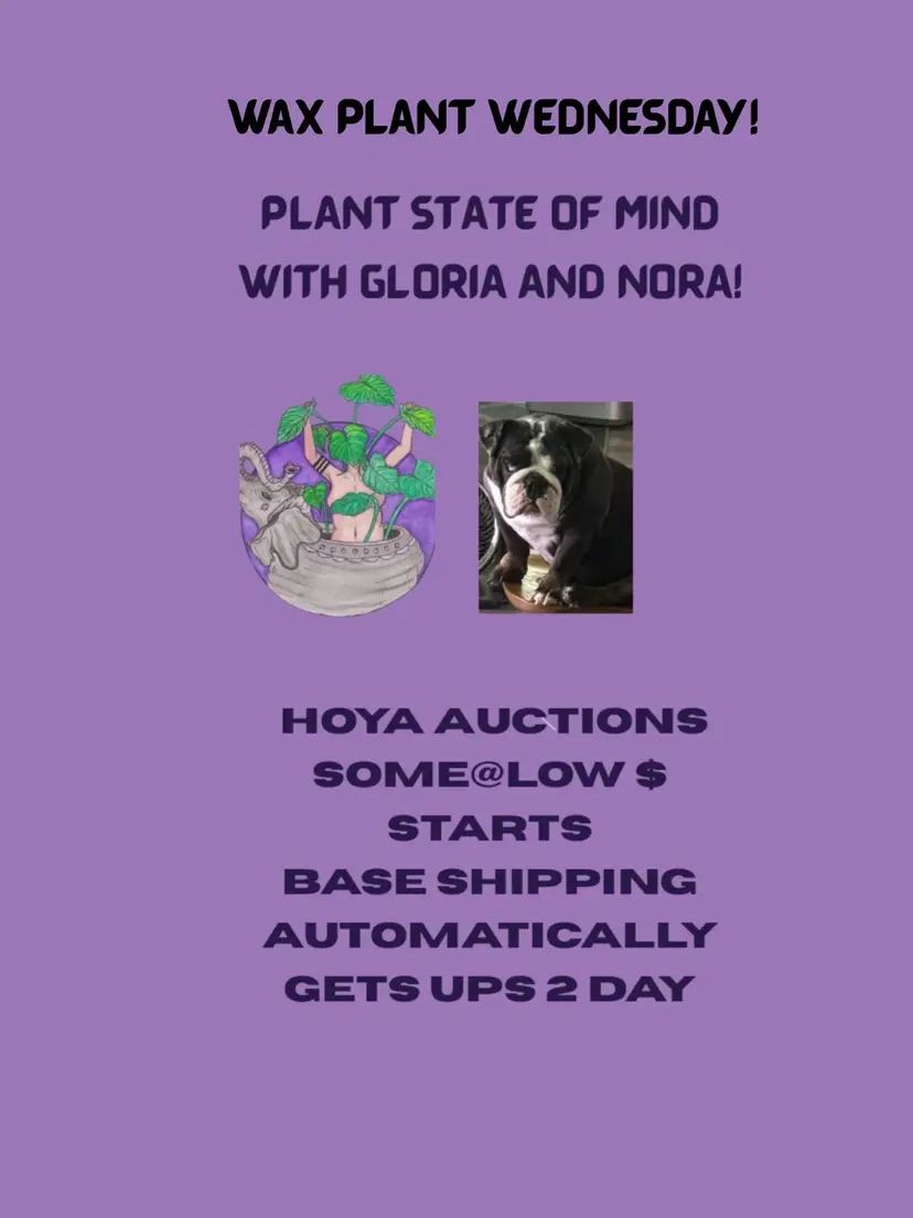 Livestream thumbnail