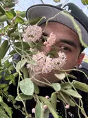 interstellar_planter