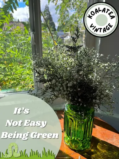 ☘️ It’s Not Easy Being Green… with Koalatea Vintage 🐨