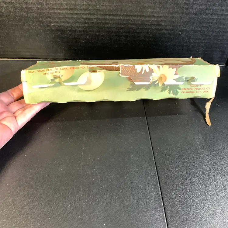 Old Egg Carton