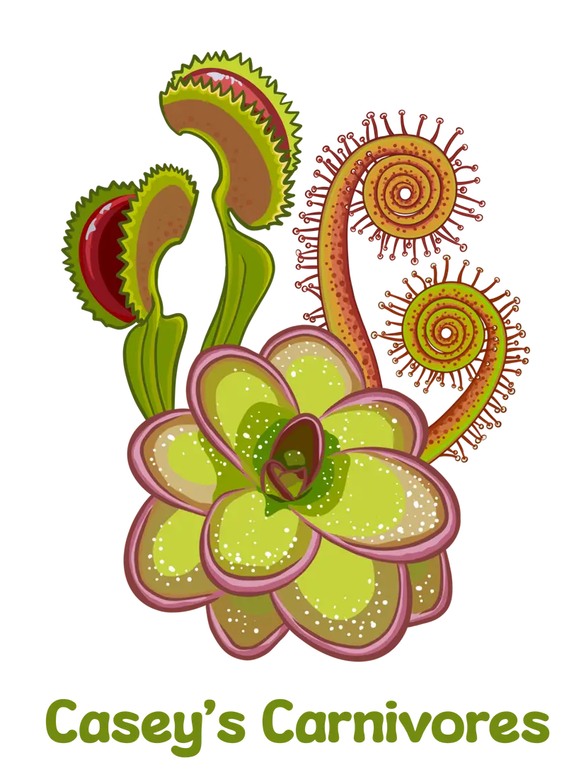 Livestream thumbnail