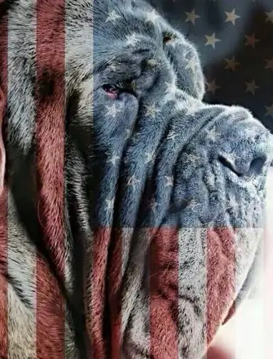 Finds Of The Week & Other Stuff