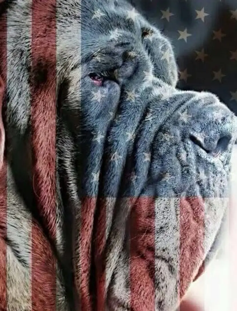 Livestream thumbnail