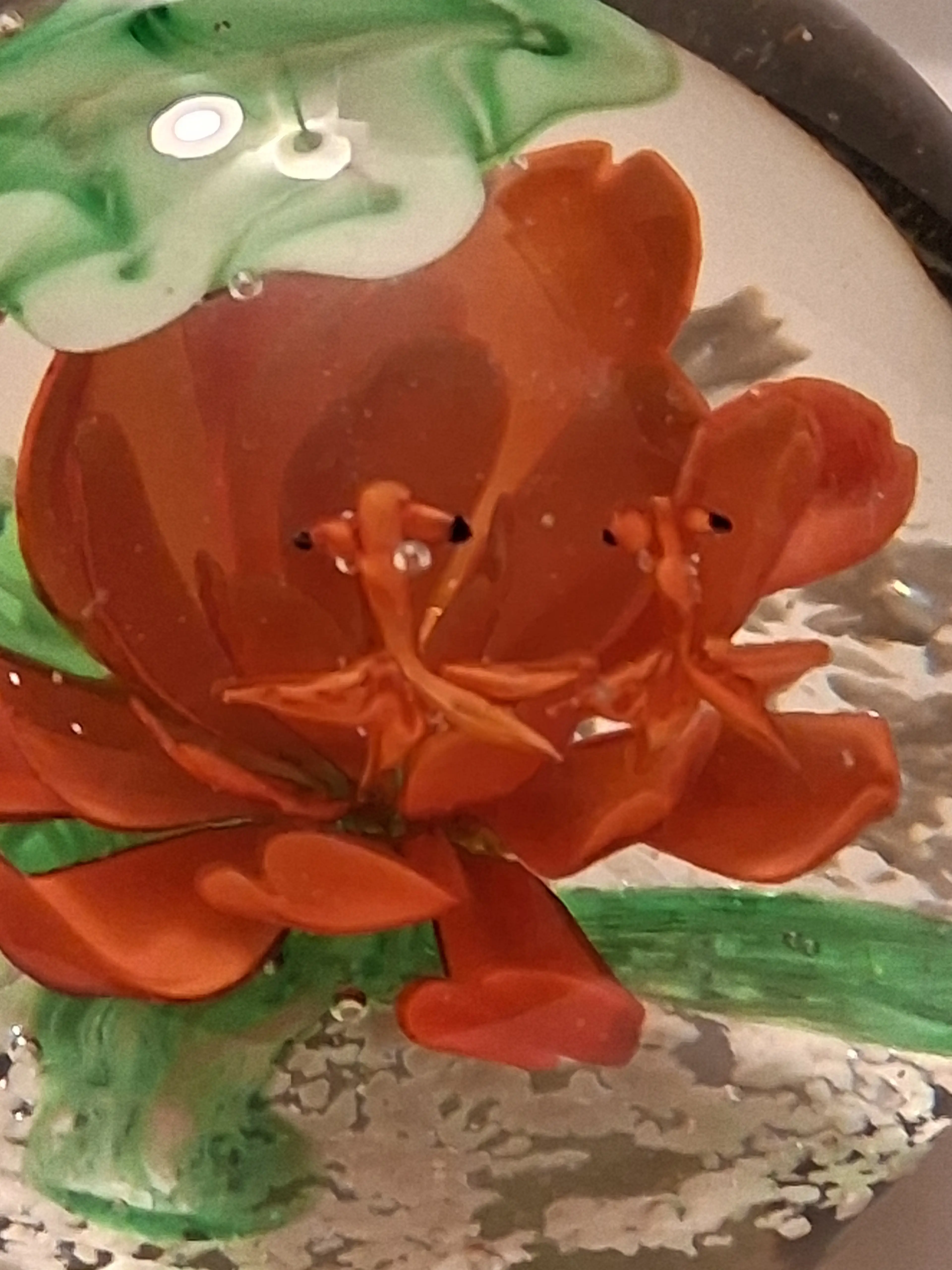 Image 4 of 9