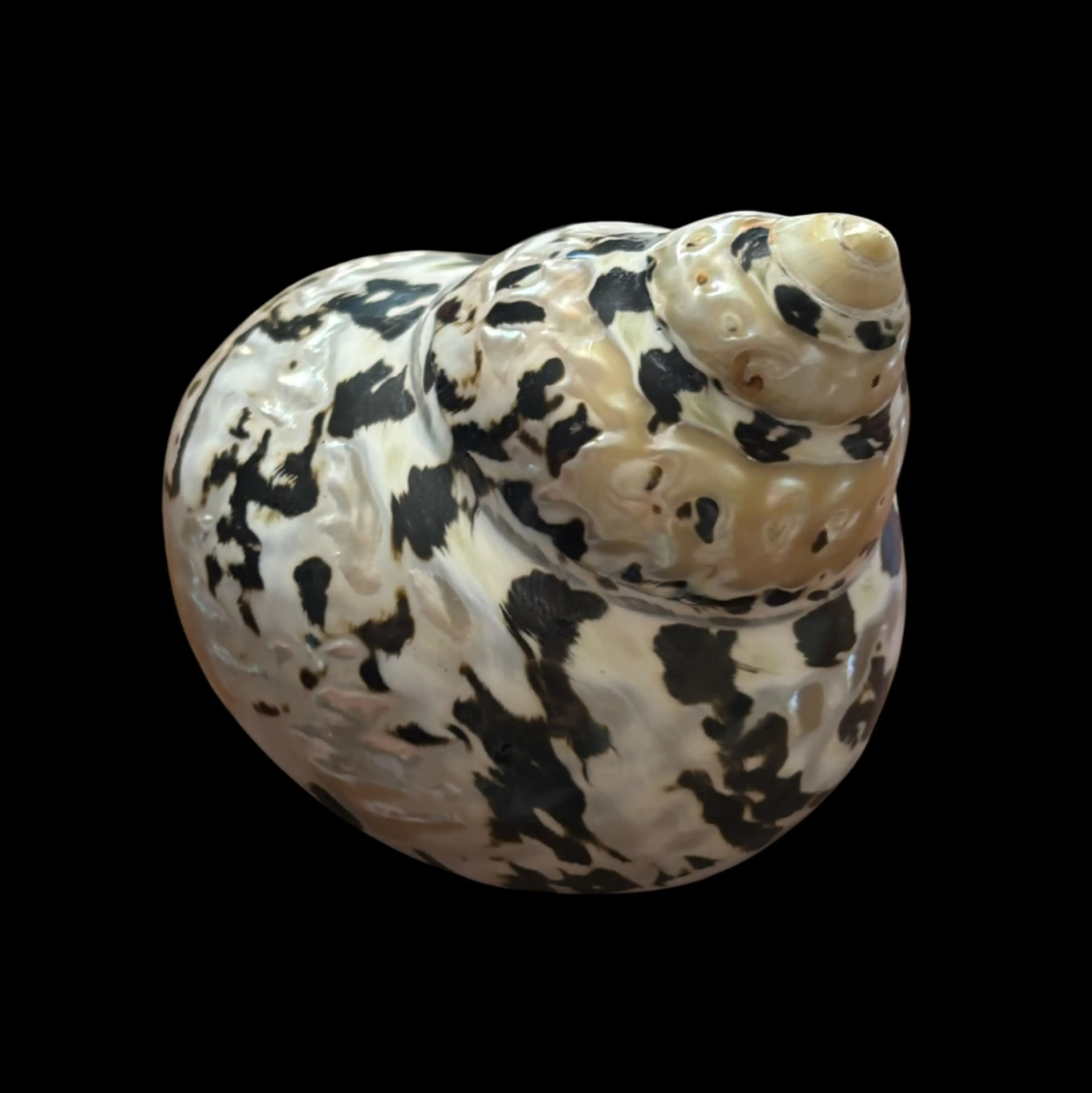 Image 2 of 5