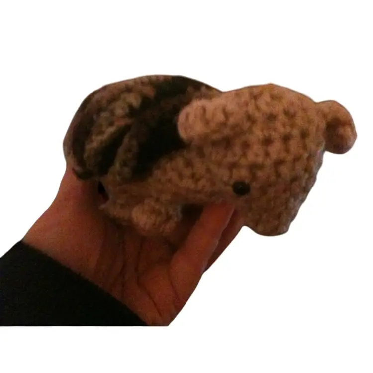 Armadillo Folds Into Shell Handmade Custom Crochet