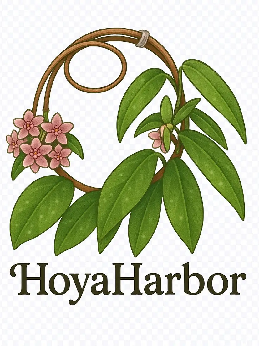 Livestream thumbnail