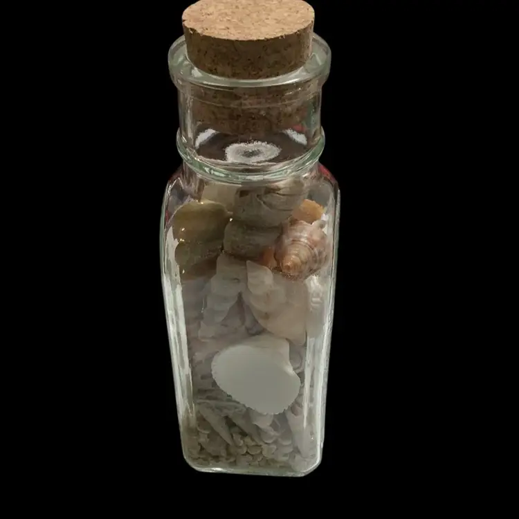 GL Bottle  Full All Kinds  Of Sea Shells. With Round Cork Lid . Use Shells For Crafting And It’s A Beautiful Bottle Too.