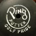 pingputt2