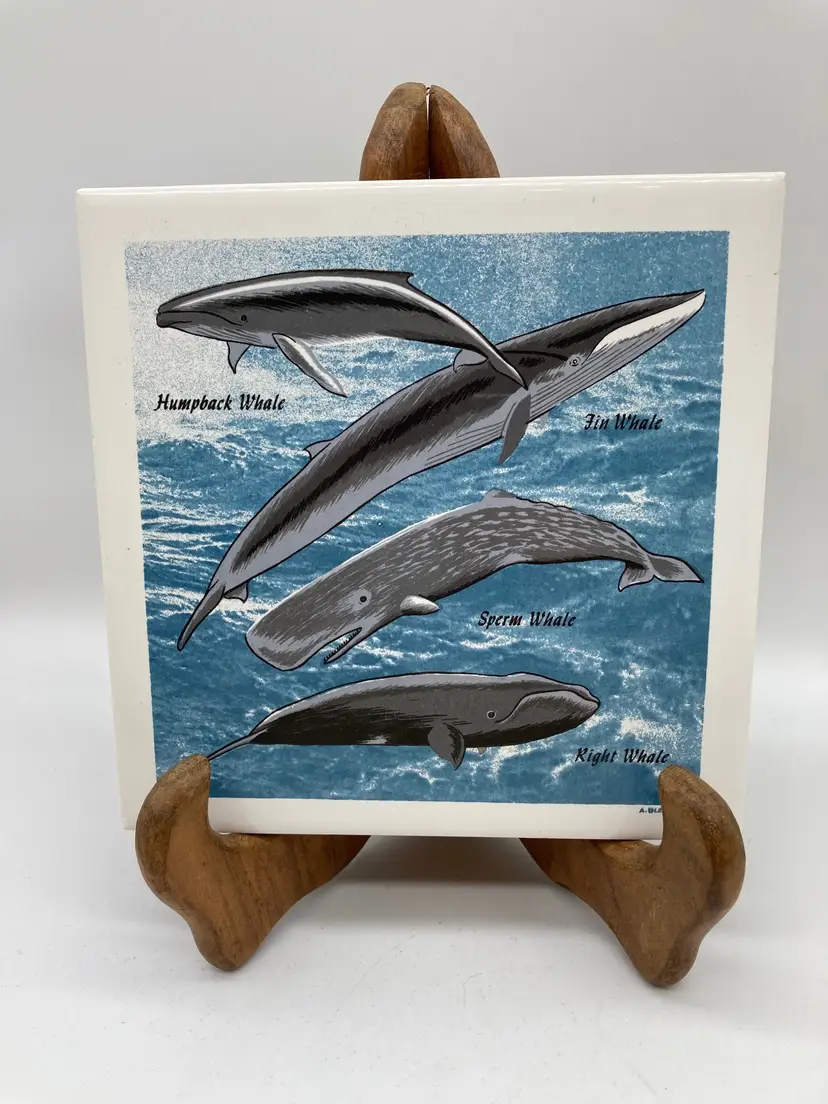 Whale Tile made by