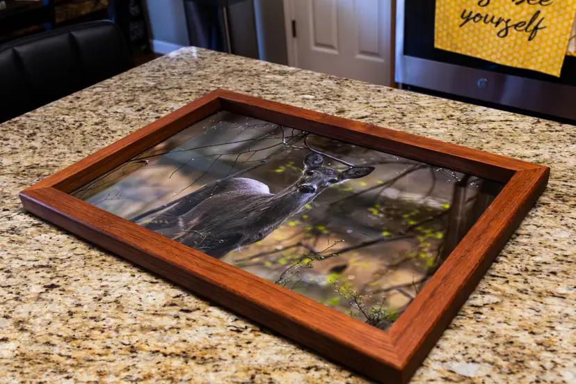 Stillness - Fine Art Wildlife Photograph 16 x 24 by Faheem Jamaloodeen Hand Framed in Brazilian Cherry