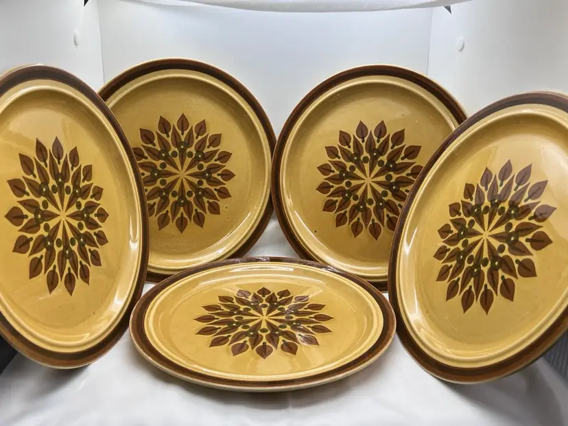 #2077B Set of 5 Vintage 1970's Stoneware Dinner Plates