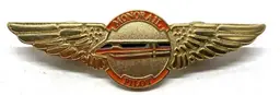 Vintage Walt Disney World Monorail Gold Pilot Wings Cast Pin Orange