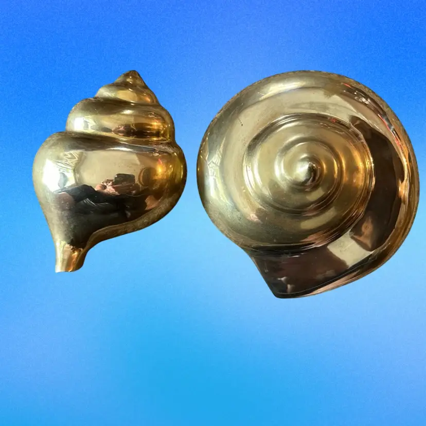 Vintage Brass Seashells Decor Wall Hanging Snail & Conch ~ Hong Kong