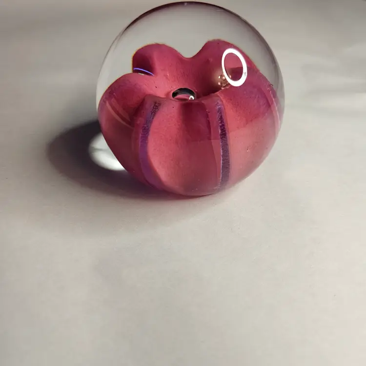 Caithness Scotland Pink Sea Gem Paperweight