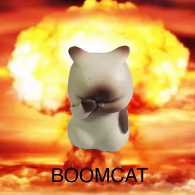 BOOMCAT