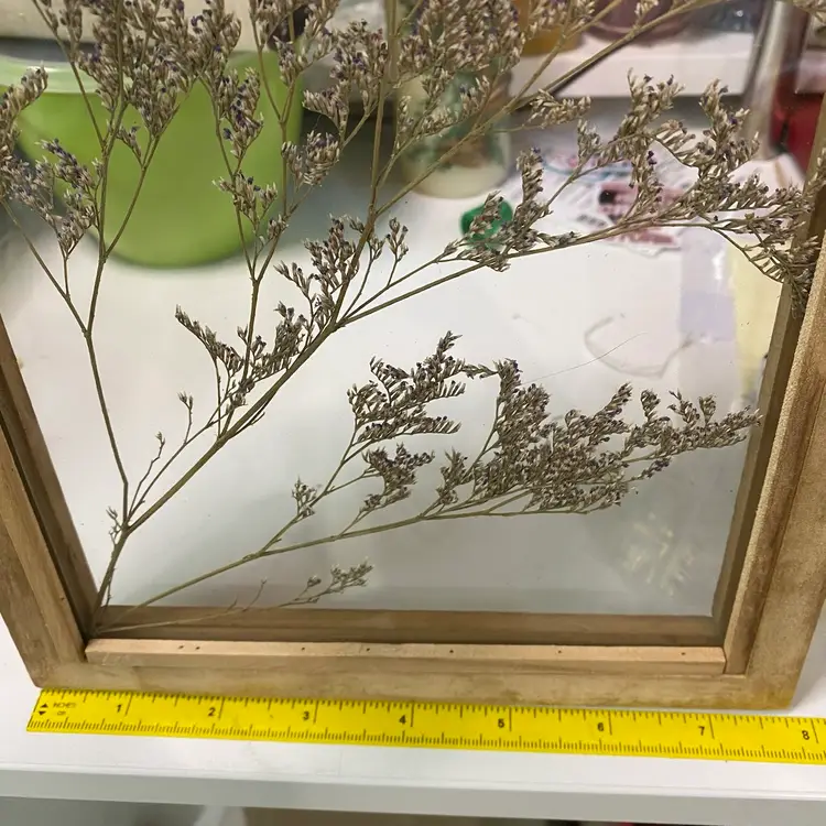 Pressed Flowers New tween Glass Framed Rope Hanger8”x10”