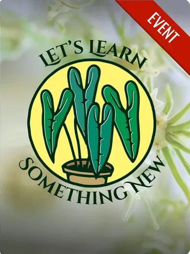 Let’s Learn Something New