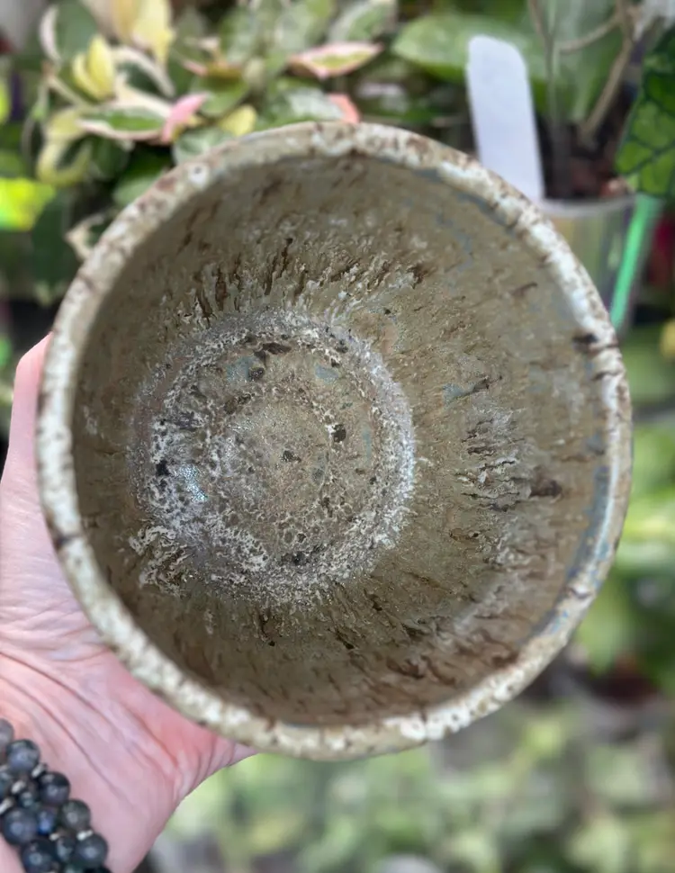 #23 Handmade pot, no drainage 5 inch heavy