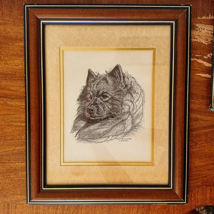 Vintage Keeshond Dog Line Drawing