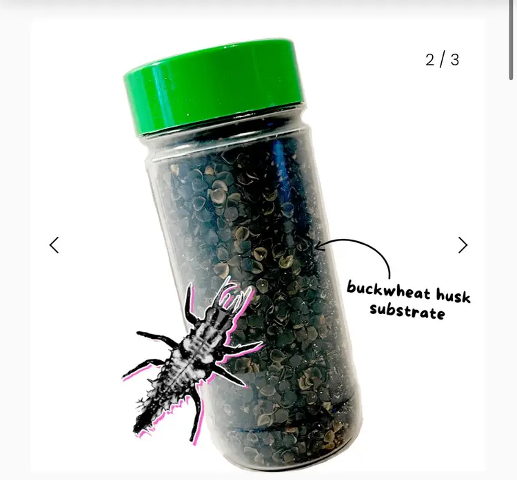 Lacewing Larvae 1k Bottle