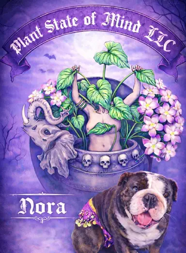 GIVEAWAY DAY!!HOYA !