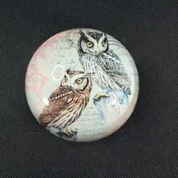Half Dome Owl Paperweight