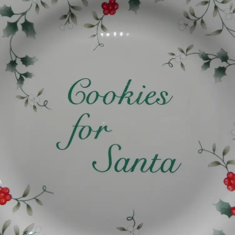 Pfaltzgraff Winterberry Cookies for Santa Plate 1994 Kids Christmas Platter