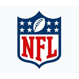 673 - NFL High Roller Mystery Pack - F-26 Cards