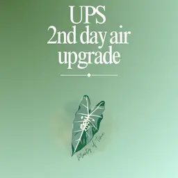 UPS 2nd day air - Shipping Upgrades